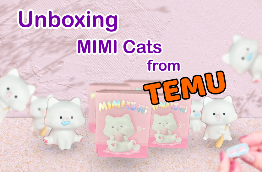 Unboxing mimi cats from temu thumbnail